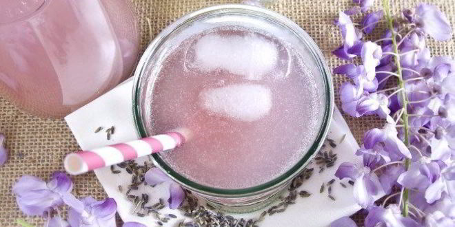 Рецепт лимонада с лавандой