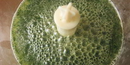 Шаг 5: лимонада тархун