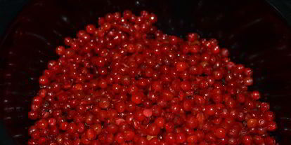 Шаг 1: морса из калины