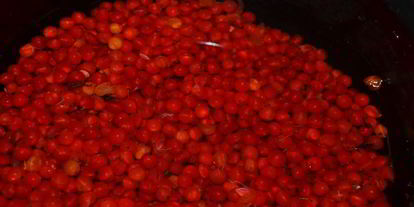 Шаг 2: морса из калины