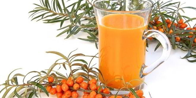 Рецепт Морса из облепихи замороженной