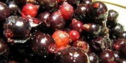 Шаг 1: наливки из черной смородины