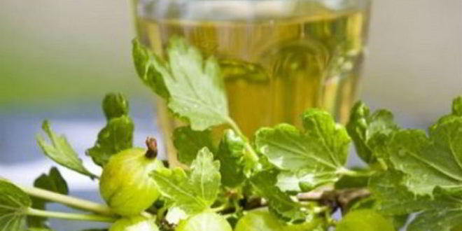 Рецепт Наливки из крыжовника