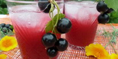 Шаг 10: напитка из ревеня и черной смородины