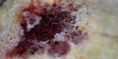 Шаг 6: напитка из ревеня и черной смородины