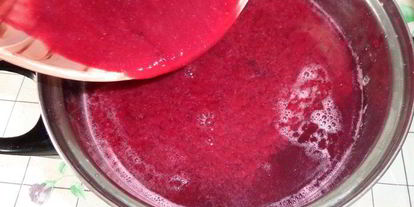 Шаг 8: напитка из ревеня и черной смородины