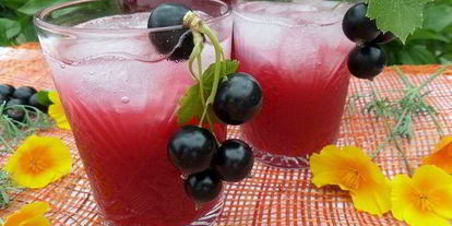 Шаг 9: напитка из ревеня и черной смородины