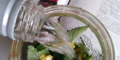 Шаг 1: мятной настойки