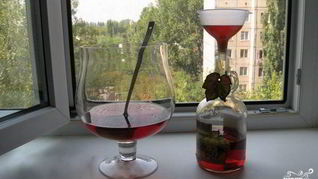 Рецепт Настойки на калгане