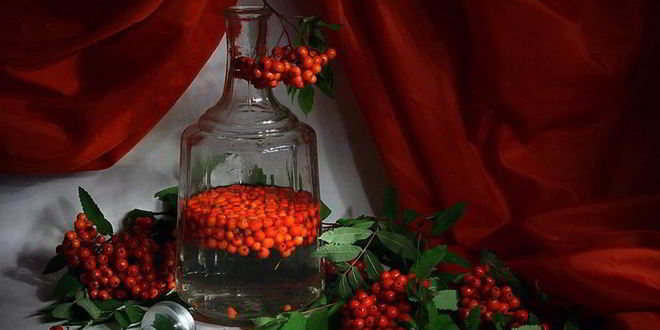 Рецепт рябиновой настойки на водке