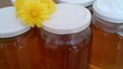 Рецепт Сиропа из одуванчиков