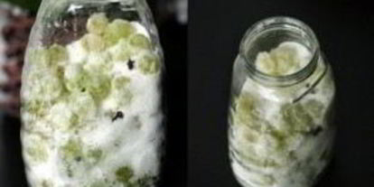 Шаг 1: вина без дрожжей