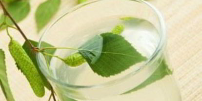 Шаг 2: вина из березового сока