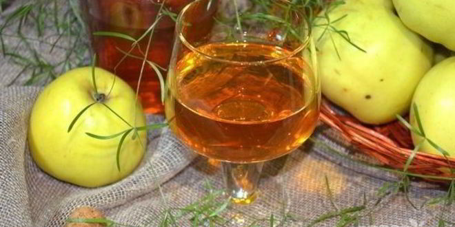 Рецепт вина из яблок