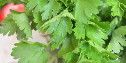 Шаг 4: теплого картофельного салата с красным луком и оливками