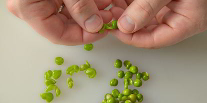 Шаг 8: говяжьего языка с оливье