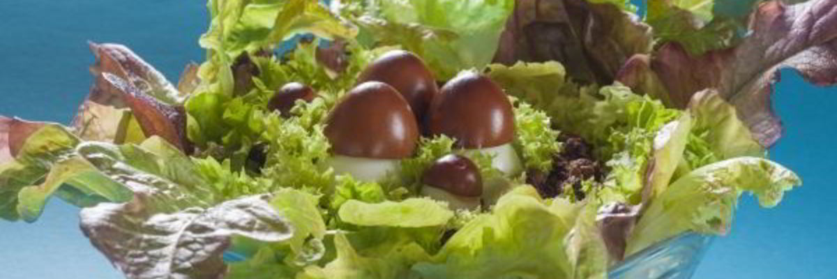 Рецепт Салата Лесная полянка с шампиньонами