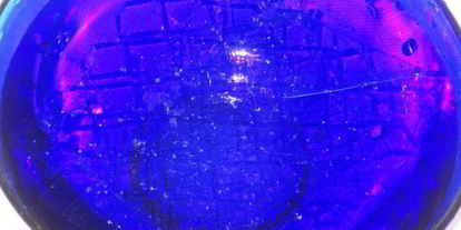 Шаг 6: цуккотто мимоза с лимонным муссом