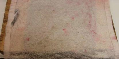 Шаг 20: роллов селедка под шубой