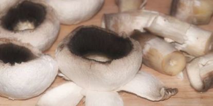 Шаг 2: селедки под лисьей шубой