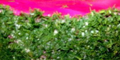 Шаг 13: селедки под шубой новогодняя