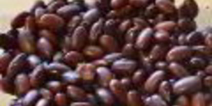 Шаг 1: винегрета с красной фасолью и сельдью