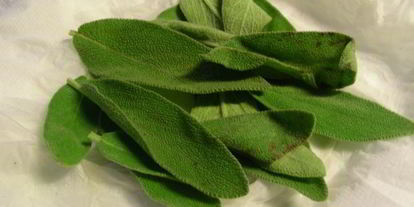 Шаг 1: сальтимбокки по-римски и соус к ней