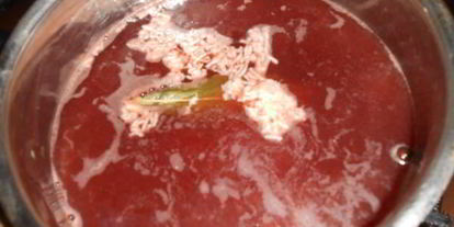 Шаг 4: винного красного соуса для дичи