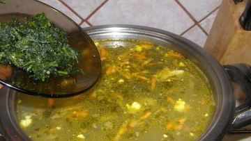 Рецепт Борща со щавелем и яйцом