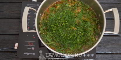 Шаг 14: зеленого борща со щавелем и яйцом