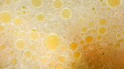 Рецепт Мясного бульона с овощами