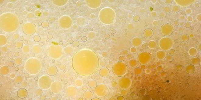 Рецепт мясного бульона с овощами