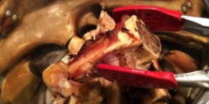 Шаг 2: насыщенного говяжьего бульона