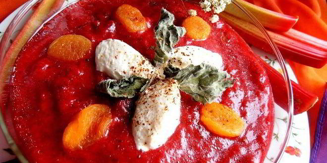 Рецепт гаспачо из ревеня и вишни