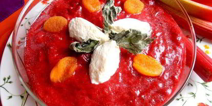 Шаг 14: гаспачо из ревеня и вишни