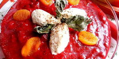 Шаг 15: гаспачо из ревеня и вишни