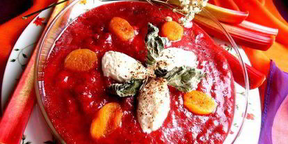 Шаг 16: гаспачо из ревеня и вишни