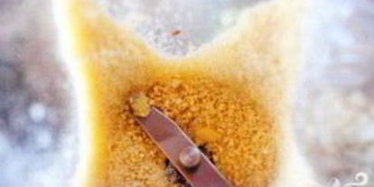 Шаг 1: гаспачо с крабовым салатом