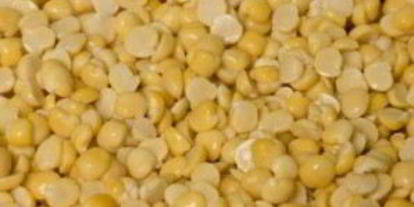 Шаг 12: французского горохового супа