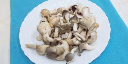 Шаг 3: грибного супа с сыром