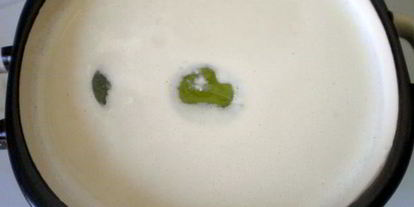 Шаг 4: ахобланко-испанского холодный суп из миндаля