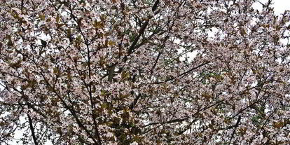 Шаг 10: холодника на кефире с маринованной свеклой