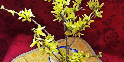 Шаг 12: холодника на кефире с маринованной свеклой