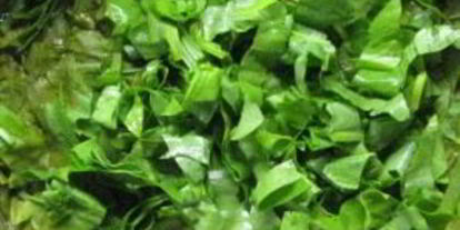 Шаг 7: холодника по-белорусски на кефире