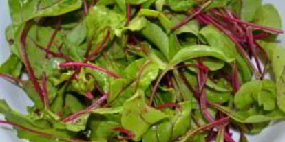 Шаг 4: холодника с ботвой