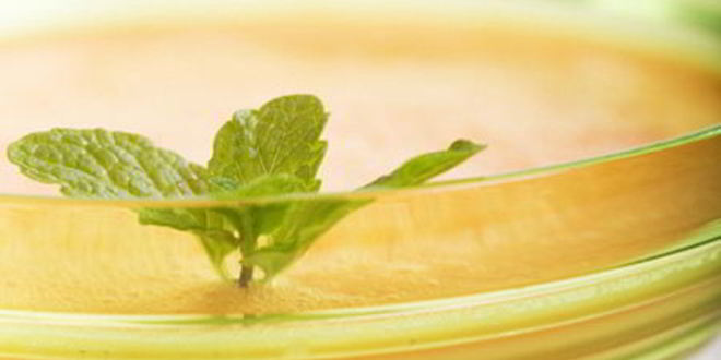 Рецепт холодного дынного супа