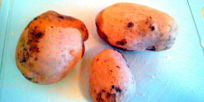 Шаг 2: окрошки майской фантазия