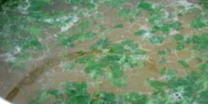 Шаг 2: рассольника рыбного классического