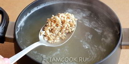 Шаг 10: рассольника с томатом, перловкой и солеными огурцами