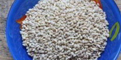 Шаг 4: заправки для рассольника с перловкой на зиму